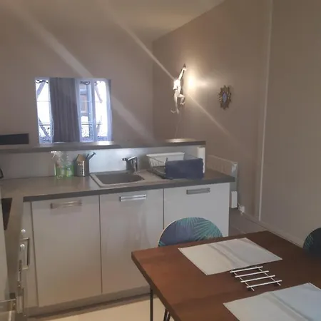 Appartement Le Verrerie : Centre Historique Dijon